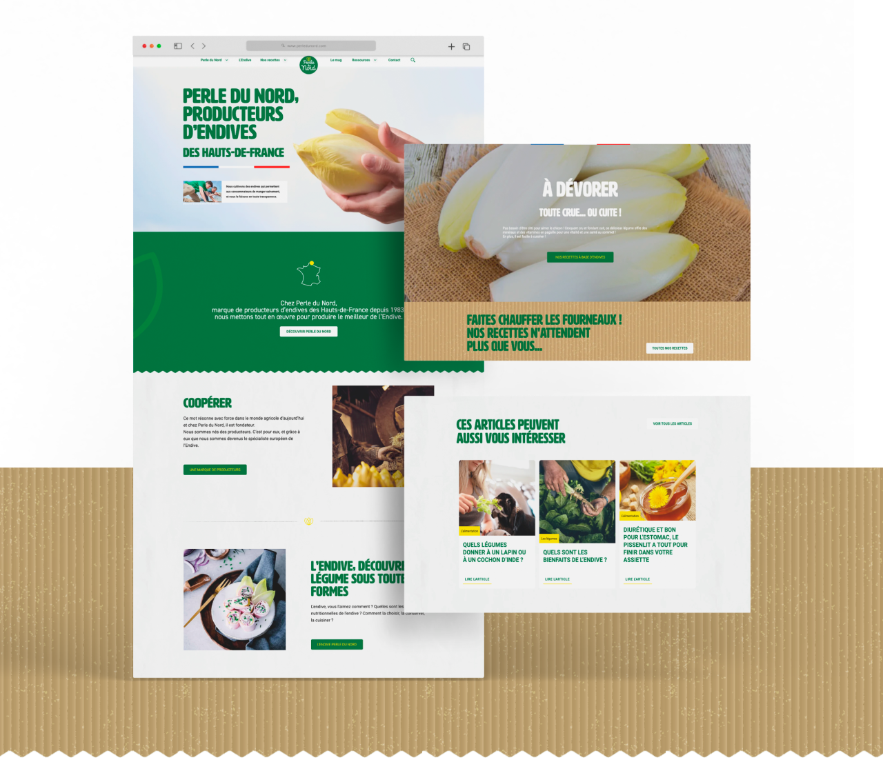 Mockup site Perle du Nord