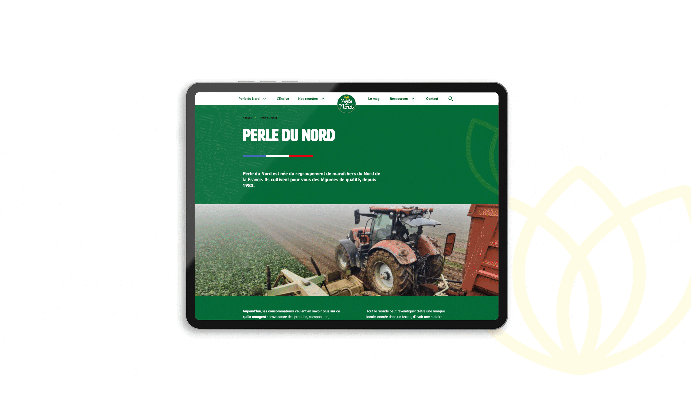 Animation site Perle du Nord